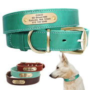 Personalized Dog Collars with Nameplate ID Tags