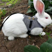 Rabbit leash dress with harness