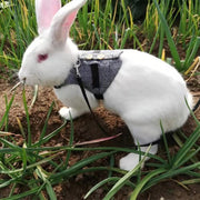 Rabbit leash dress with harness