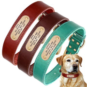 Personalized Dog Collars with Nameplate ID Tags