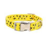 Personalized Pet Name Collar