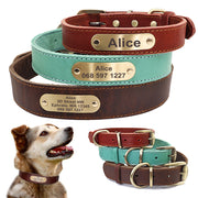 Personalized Dog Collars with Nameplate ID Tags