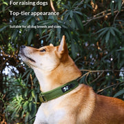 Personalized Dog Tag Pet Collar