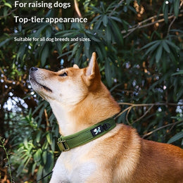 Personalized Dog Tag Pet Collar