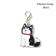 Pet keychain
