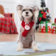 Personalized Pet Knitted Christmas Sweater