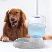 3.5L l Pet Water Dispenser