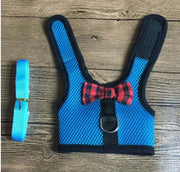 Rabbit Vest-Style Breathable Mesh Chest Harness Traction Rope