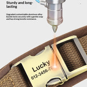 Personalized Dog Tag Pet Collar