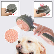 Slicker Brush for Hair Removal (Double-sided Massage)